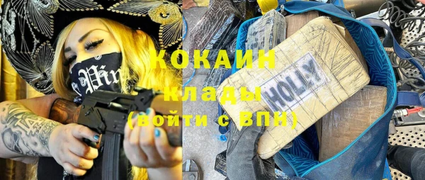 индика Алзамай