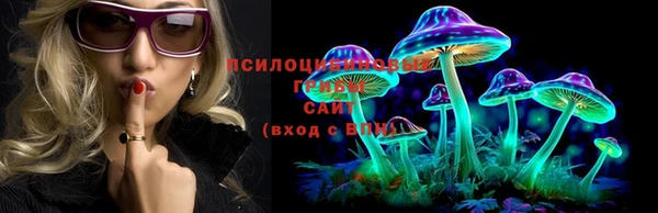 спайс Алексеевка