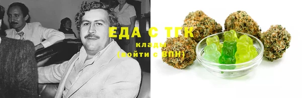 индика Алзамай