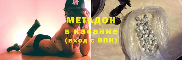индика Алзамай