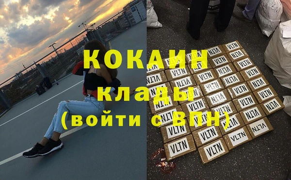 индика Алзамай