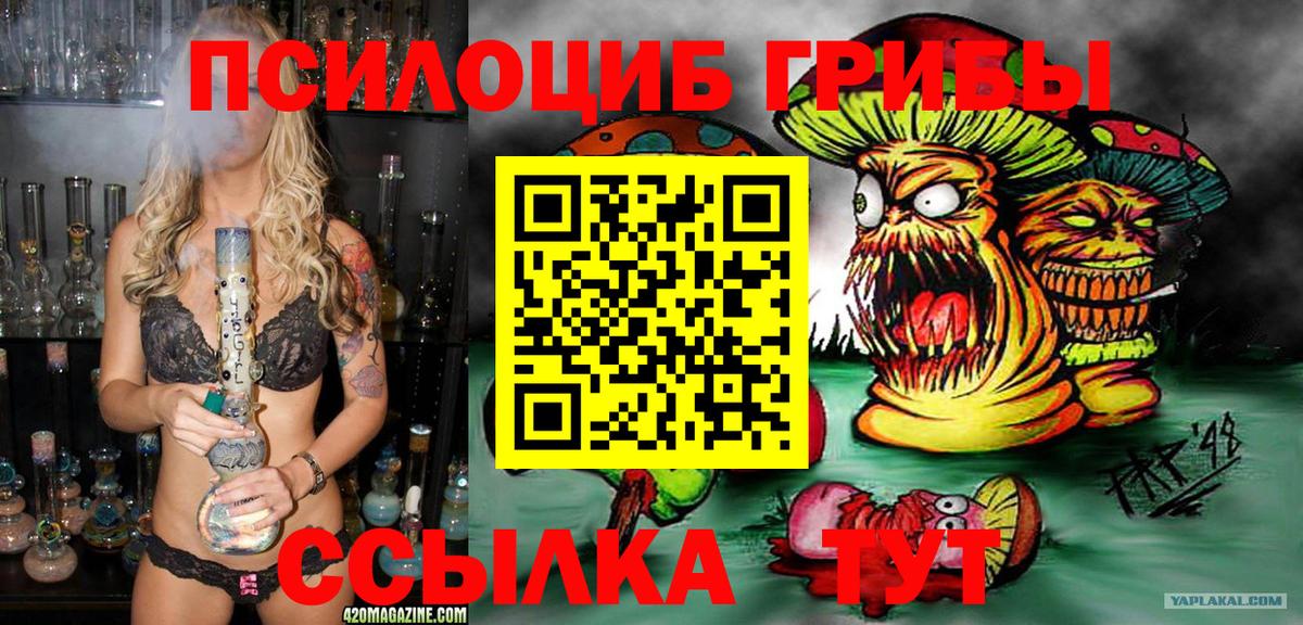 Санкт-Петербург  Галлюциногенные грибы Magic Shrooms  Вход с VPN  Псилоцибиновые грибы Psilocybe 
